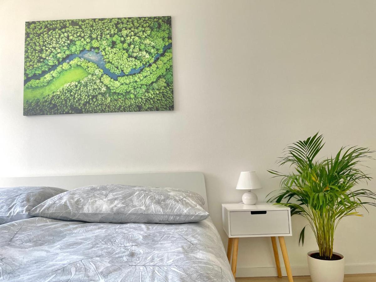 Appartement 80m2 With Balcony & Free Netflix Vienne