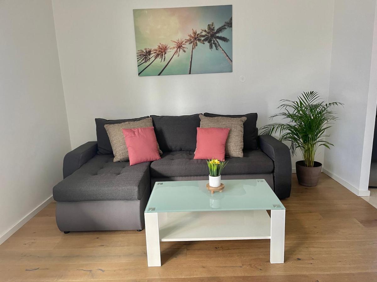 Appartement 80m2 With Balcony & Free Netflix Vienne